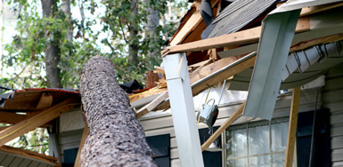 What To Do When Hurricane Isaias Wind Damage Is Denied Photo